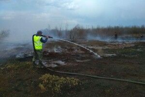 На Волині вже тиждень горить торфовище