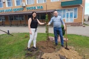 Сакури будуть і на Поліссі: в Маневичах висадили саджанці із Закарпаття
