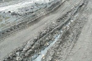 На Рівненщині може відбутися Чемпіонат світу з екстремальних автоперегонів: трасою змагань стане звичайна дорога між Дубровицею та Великими Озерами (Фото)