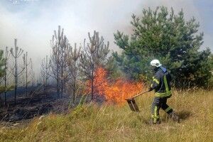 На Волині упіймали палія стерні