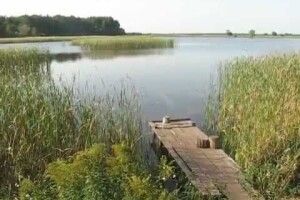 Ставок хочуть повернути сільраді