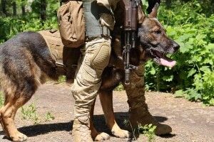 Оперативна інформація щодо російського вторгнення станом на вечір 12 червня