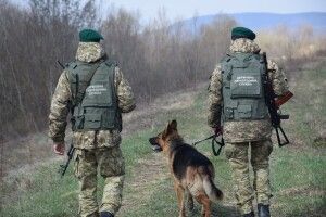 Прикордонники виявили місця незаконного видобутку бурштину біля кордону з Білоруссю (Відео)