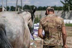 Допомога ветеранам – у Луцьку запускають проєкт з іпотерапії