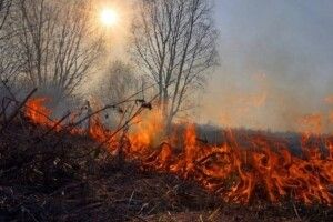 Волиняни сплатять штрафи за спалювання сухої трави