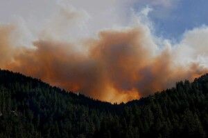 У Франції +40, у Португалїі +47: Європа далі потерпає від аномальної спеки та лісових пожеж