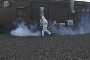 Майже 800 волинян постраждали від укусів кліщів з початку року