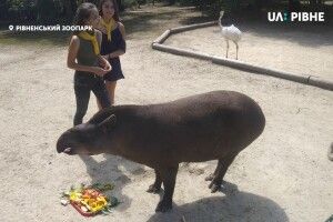 Майю масажували з нагоди Дня народження 