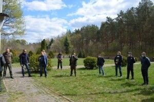 На Волині селяни поцікавилися у лісівників, чому «зрізані «хворі» сосни згодом перетворюються на дуби» 