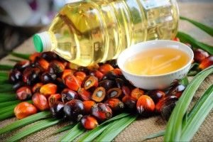 Рада проголосувала за заборону використання пальмової олії в продуктах харчування
