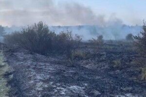На Волині покарали паліїв 