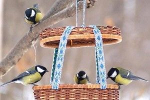 Ківерцівських школярів закликали будувати їдальні для дзьобатих