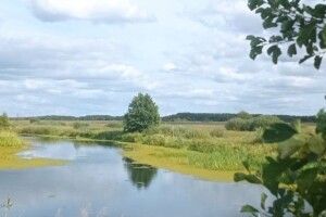 В нацпарку на Волині проєктують нову екостежку
