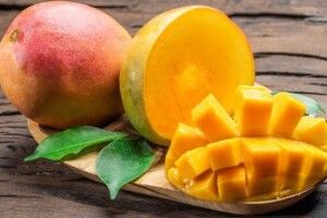 Червонокрилі папуги помирають від алкоголізму, зловживаючи збродженими манго