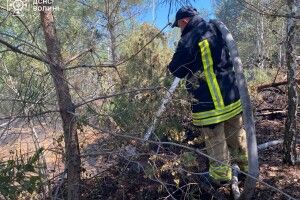 У ці хвилини на Волині гасять торфовище пожежники з п’яти міст