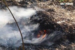 Спалювали сміття, а спалили хліва