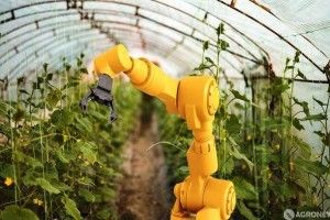 І торкаються саджанців металеві пальці…