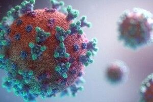 Після візиту хворого на COVID-19 Санти у будинку для літніх померли 27 людей