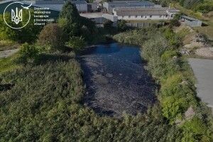 Сіра вода та сморід: у місті на Волині виявили забруднення водойми