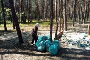 Екологічна толока на Ратнівщині