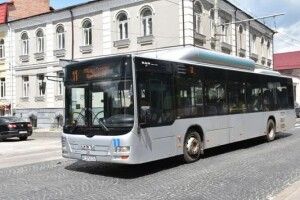 Недотримання графіка та відсутність автобусів: у Луцьку з перевізником припинили співпрацю