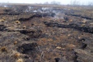 Починають горіти трава та торф’яники