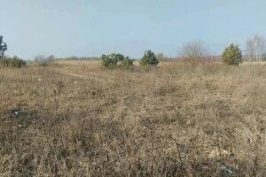 На Волині біля міжнародної траси продають землю (Фото)