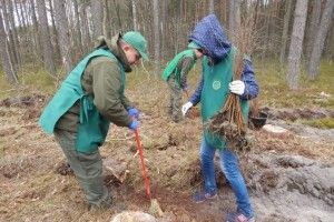 Очільники та представники громад Любомльщини створили свій ліс