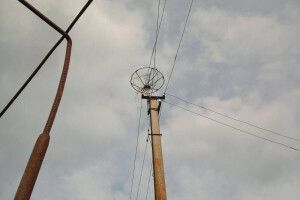 На Волині змайстрували лелекам каркас для гнізда