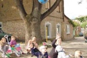 ПРИРОДА: ЯВІР І ВЕРБИ, ВРЯТОВАНІ ЖУРНАЛІСТАМИ