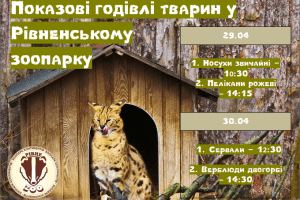 У Рівненському зоопарку можна буде побачити, як наминають за обидві щоки носухи, пелікани, сервали та верблюди