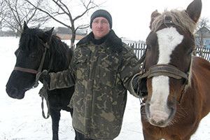СЕЛО МОЄ: вірні й працьовиті коні