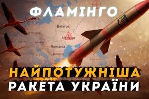 Українська ракета «Фламінго» удвічі краща за американський «Томагавк»