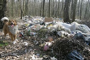 ОТАК І ЖИВЕМО: шлях до Європи встелено… сміттям!