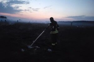 На Волині горіла суха трава та осередки торфу