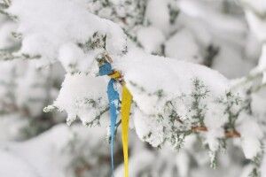 Митрополит Луцький і Волинський звернувся до вірян з зв’язку з морозами