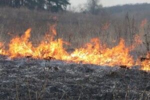 Учора на Волині активізувалися палії