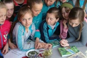 На Любешівщині стартувала «Зелена аптека»