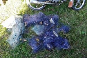Наловив риби на 40 тисяч гривень: на Ковельщині спіймали браконьєра 