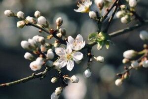 Повідомили, коли на Волинь прийде суттєве потепління