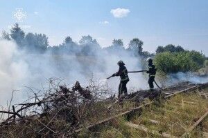 На Волині горів житловий будинок  і сухостій
