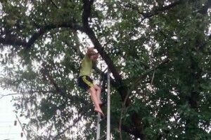  Врятували дитину, яка застрягла на дереві
