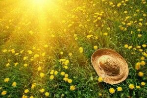 Актуальна погода на місяць в Луцьку від сервісу Pogodnik