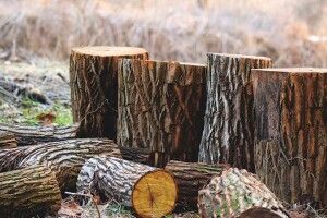 На Волині судили студента