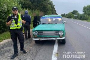 На Волині зловили серійних злодіїв