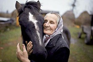 ФОТОФАКТ: шкода, але Героя коням не дають!