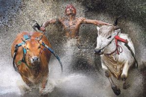 ФОТОКОНКУРС: це вам не футбол знімати...