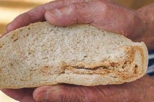 Хліб із залишками… торта?