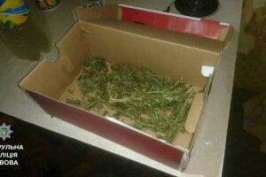 Львівянин вибив сусіду зуби за те, що той нібито вкрав у нього наркоту
