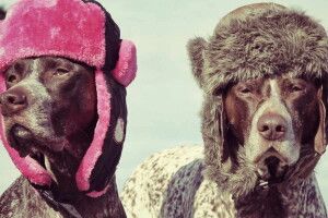 Погода на четвер, 18 лютого: мороз цього дня віщує привітну весну та сухе і спекотне літо